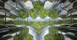 Eliasson-Olafur Eliasson-Olafur