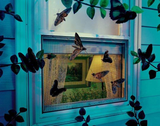 Gregory Crewdson