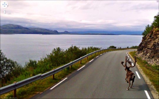 Jon Rafman, Google street view 2010