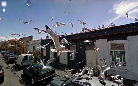 Jon Rafman, Google street view 2009