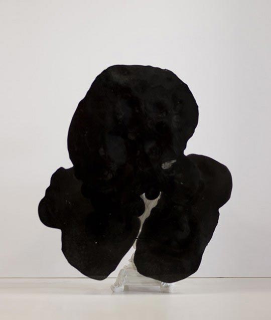 Nick Van Woert, Ghost, 2009, buste en plâtre et plastique, 45 x 38 x 18 cm © Nick Van Woert
