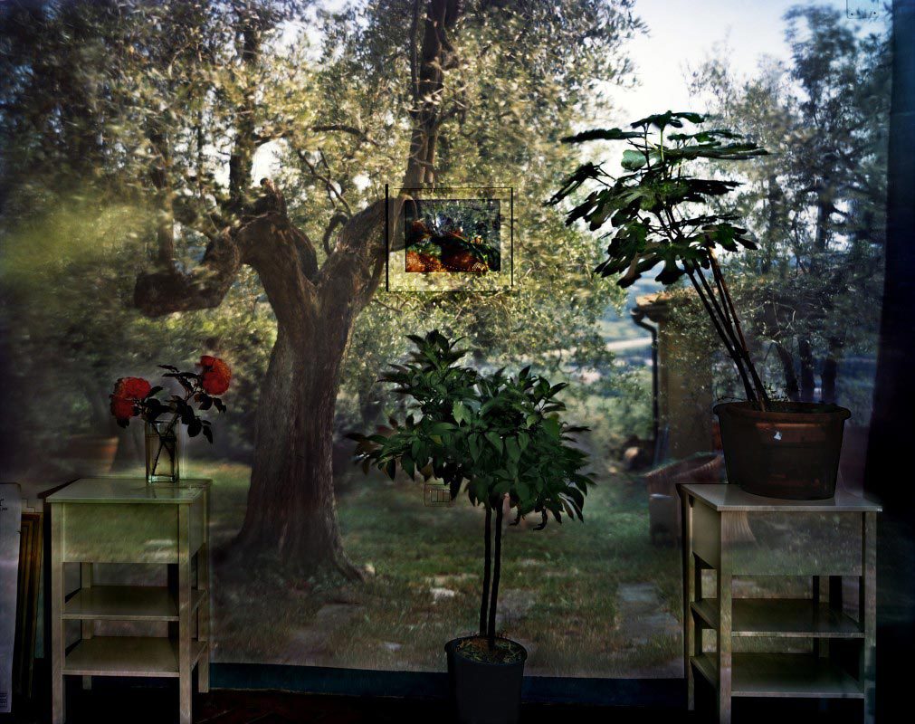 Abelardo Morell