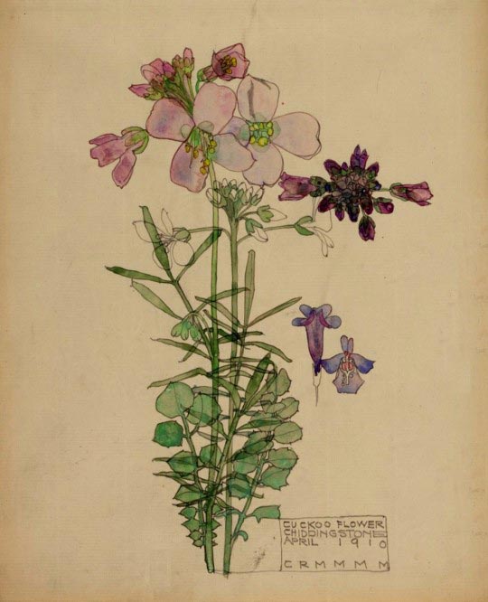 Charles Rennie Mackintosh, Cuckoo Flower, Chiddingstone, April 1910, watercolour, The Hunterian Museum and Art Gallery