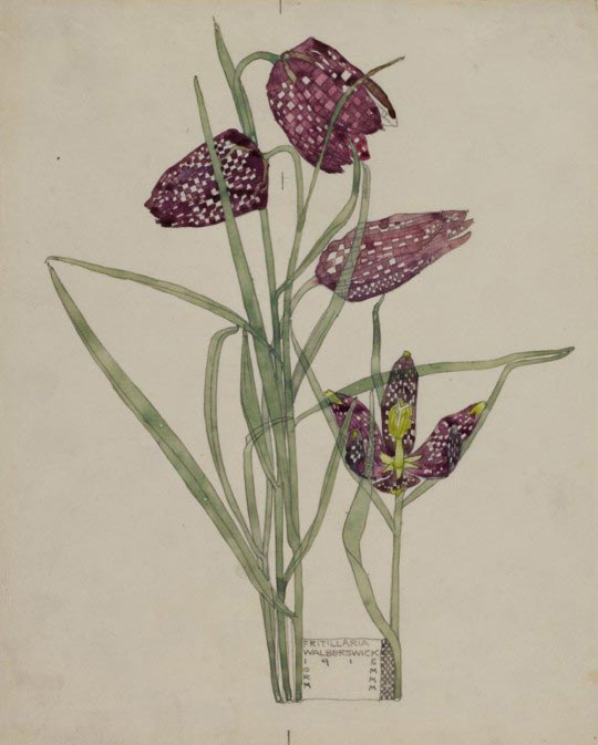 Charles Rennie Mackintosh, Fritillaria, 1915, watercolour, The Hunterian Museum and Art Gallery
