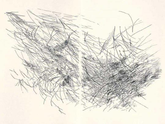 Julie Mehretu.