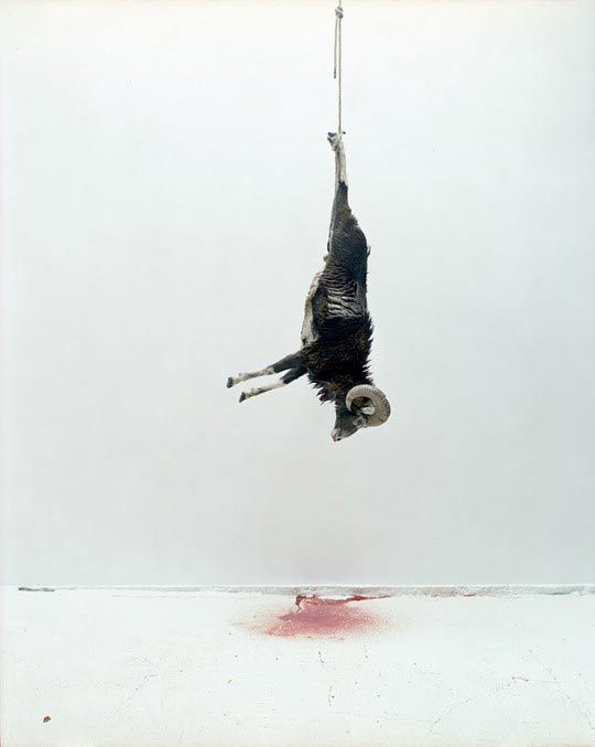 Eric Poitevin, Untitled, 2007