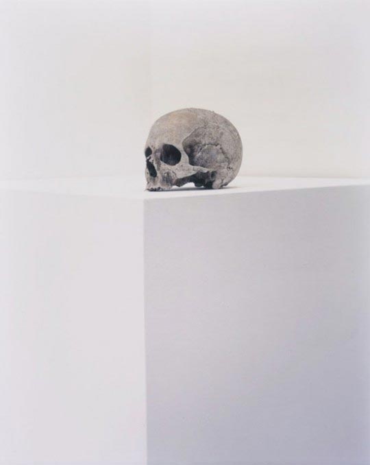 Eric Poitevin, Untitled, 2010
