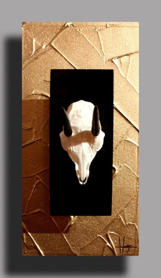 Hugo Brissaud, Ourebi. Acrylique sur bois, plexiglas, crâne d’Ourebi, 23,5 x 45 cm