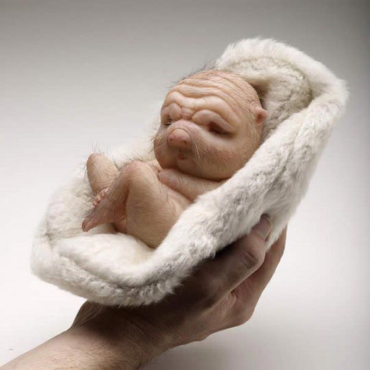 Patricia Piccinini, Founding, 2008 