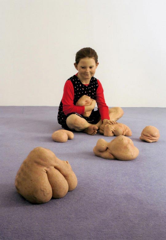 Patricia Piccinini, Still Life with Stem Cells, 2002