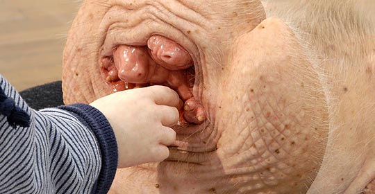 Patricia Piccinini