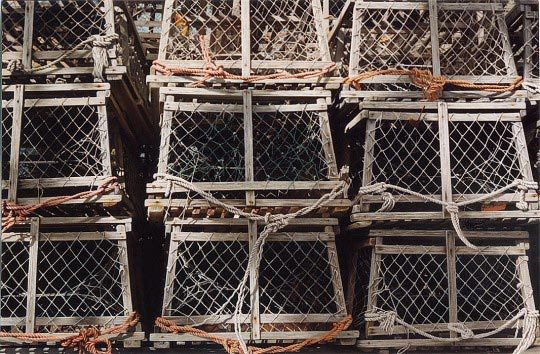 Steve Mills, Lobster Traps, 1998 