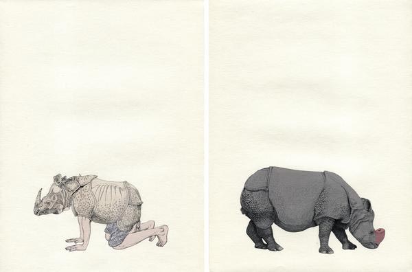 Fabien Mérelle, Rhinocéros