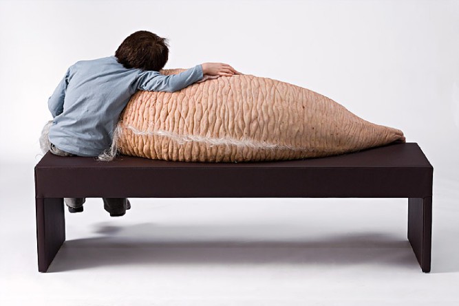 Patricia Piccinini, The Long Awaited