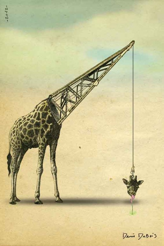 Denis Dubois, girafe