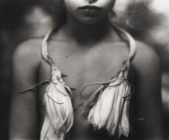 Sally Mann, Night-blooming Cereus, 1988