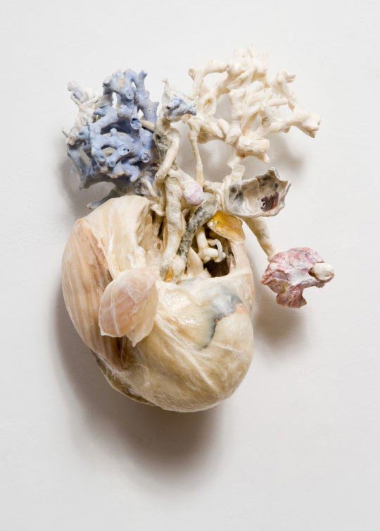 Heart (lotus), 2007 Janice Gordon