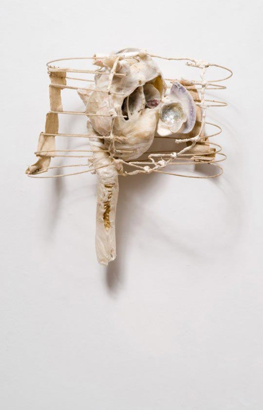 Heart (opened), 2007 Janice Gordon