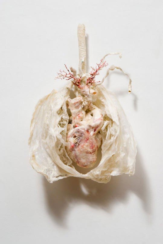 Heart (visceral), 2007 Janice Gordon