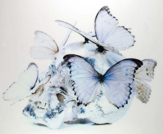 Vanité aux papillons, sculpture, Philippe Pasqua 