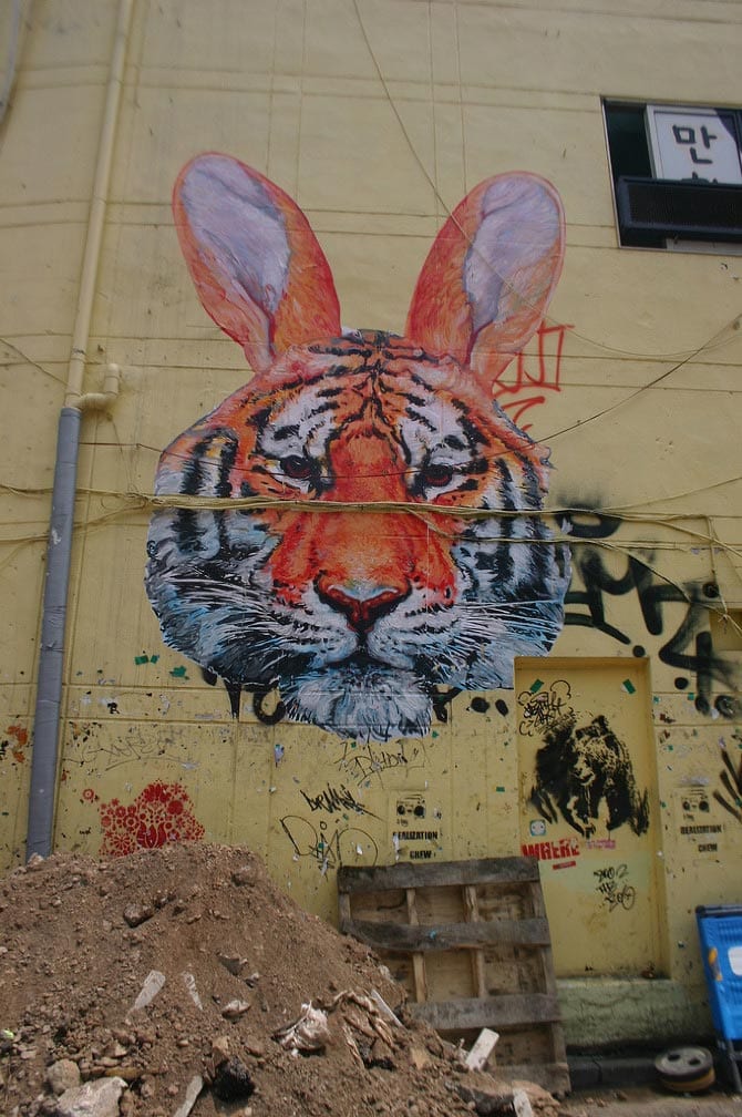 Gaia, Tiger Rabbit in Hongdae, Seoul, Korea. 2010.