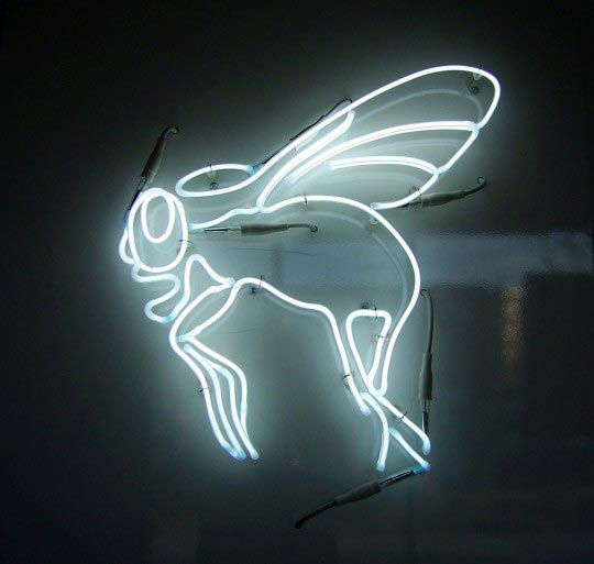 Elodie Wysocki, Diptera, 2011, copyright ewysocki