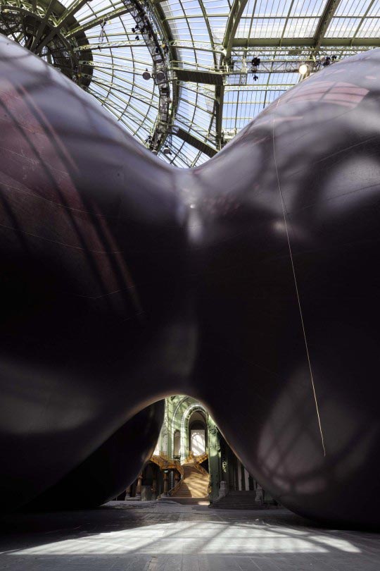 Anish Kapoor, Leviathan, MONUMENTA 2011 