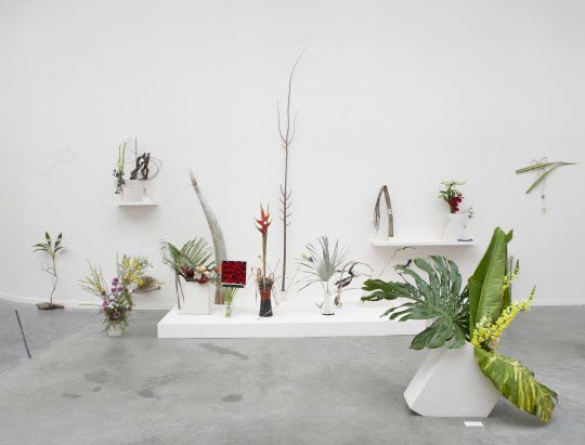 Camille Henrot, Is it possible to be a revolutionary and like flowers ?