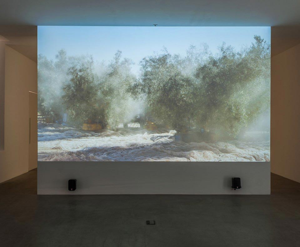 Sigalit Landau, Four Entered the Grove, 2012 