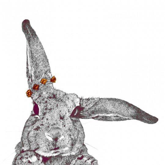 Hippie rabbit, Cheyenne illustration 