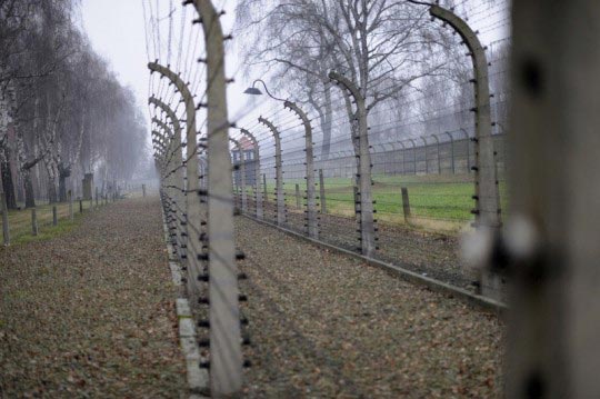 Martin Barzilai, Camp d'Auschwitz, Martin Barzilai/Sub.Coop