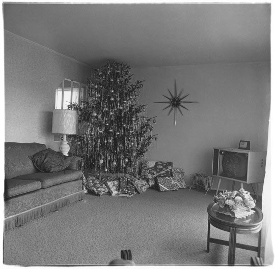 Diane Arbus, Xmas tree in a living room in Levittown