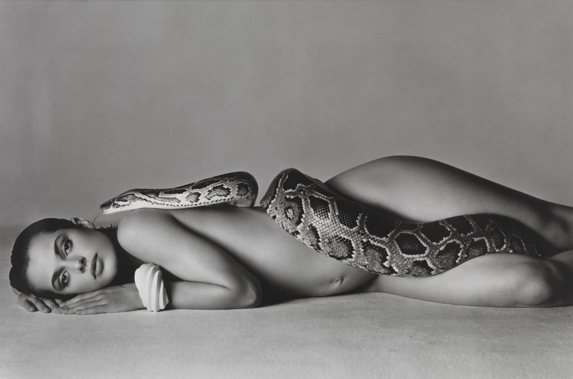 Richard Avedon, Nastassja Kinski and the serpent