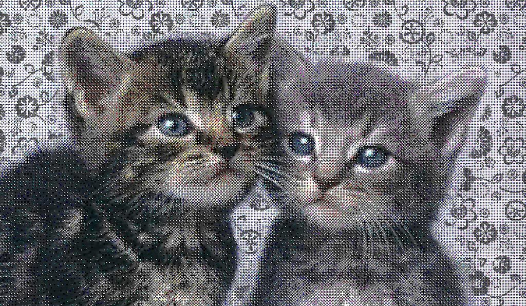 Andrés Lozano, kitties kitty in pixels