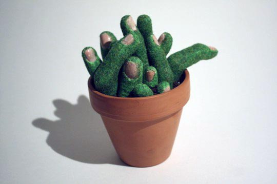 Tristan Blondeau Cactus