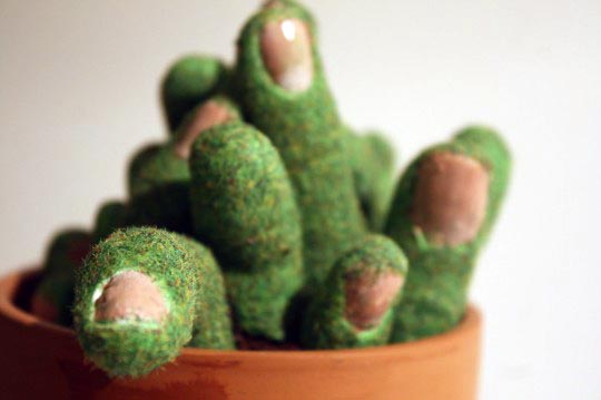 Tristan Blondeau Cactus