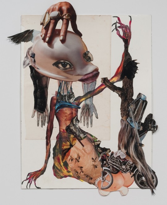 Wangechi Mutu, Family Tree