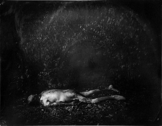 Sally Mann, Untitled, sans titre