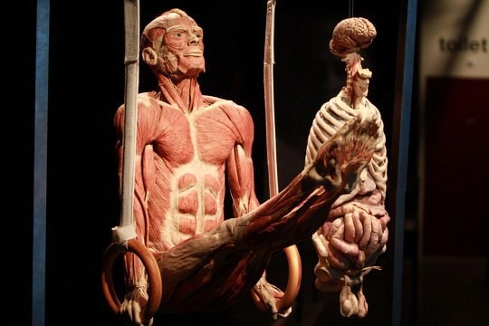 Gunther von Hagens