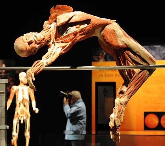 Gunther von Hagens