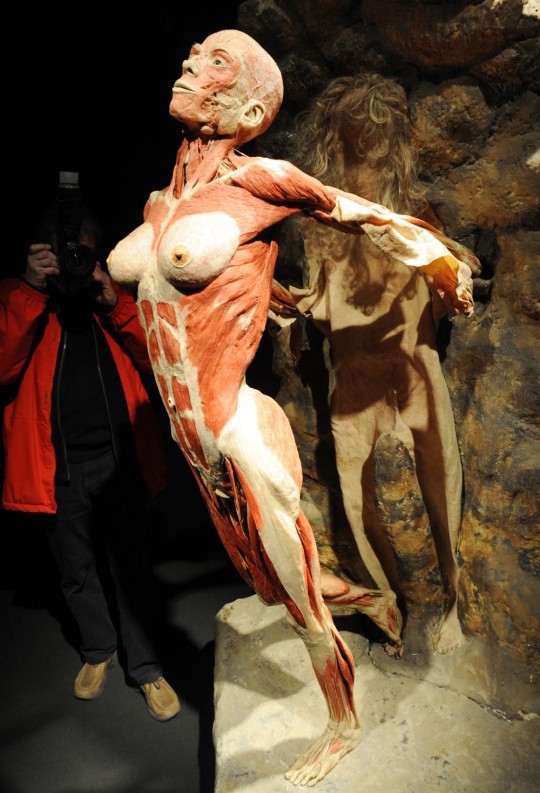 Gunther von Hagens