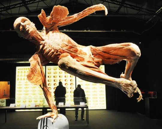 Gunther von Hagens