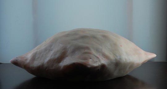 Felix Deac, Dead Pillow, 2010