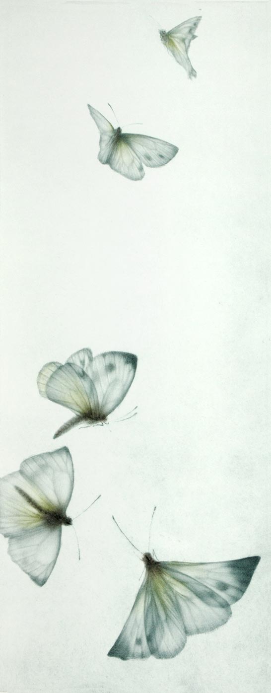 Mikio Watanabé, Le vent de printemps