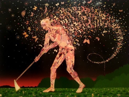 Fred Tomaselli