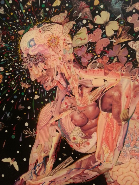 Fred Tomaselli