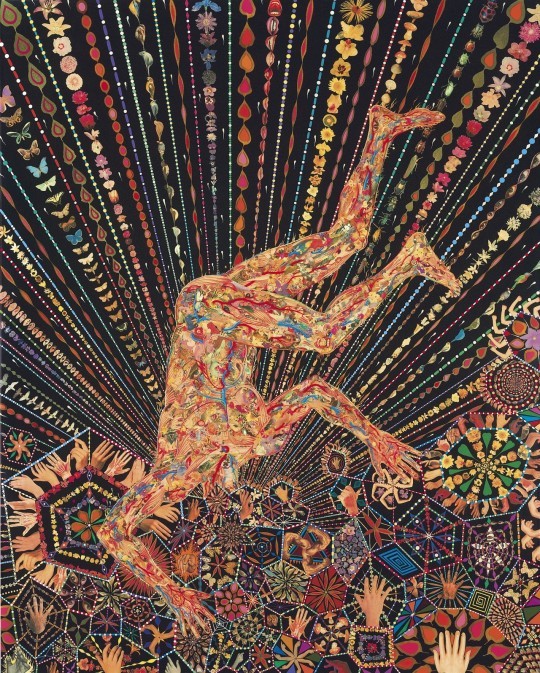 Fred Tomaselli