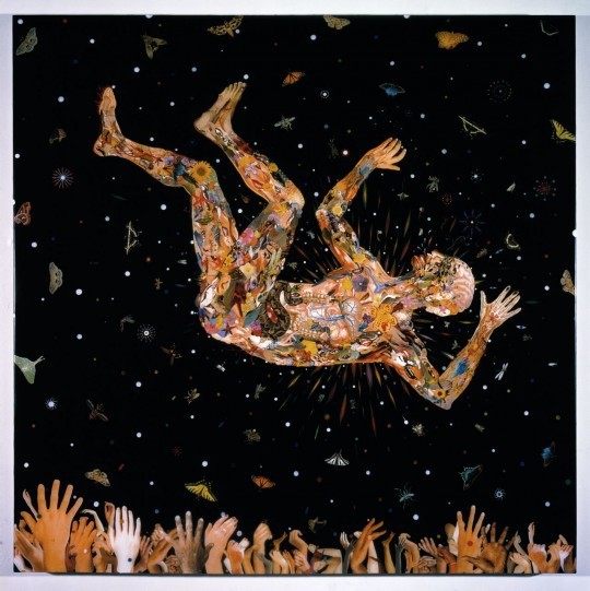 Fred Tomaselli