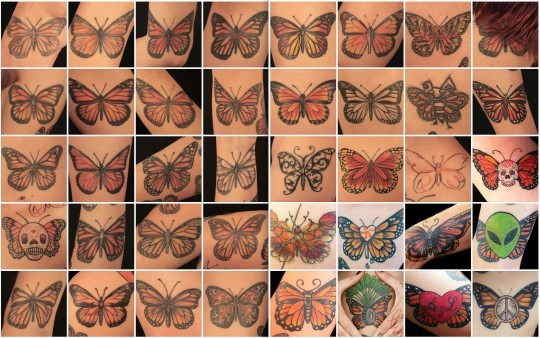 Lydie Jean-Dit-Pannel, collection de papillons