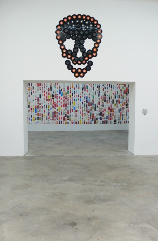 Lydie Jean-Dit-Pannel, vue d'exposition ALIVE